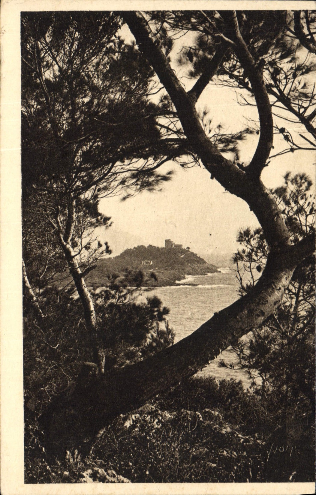 CPA Le Cap Ferrat Vu a Travers les Pins d'Alep