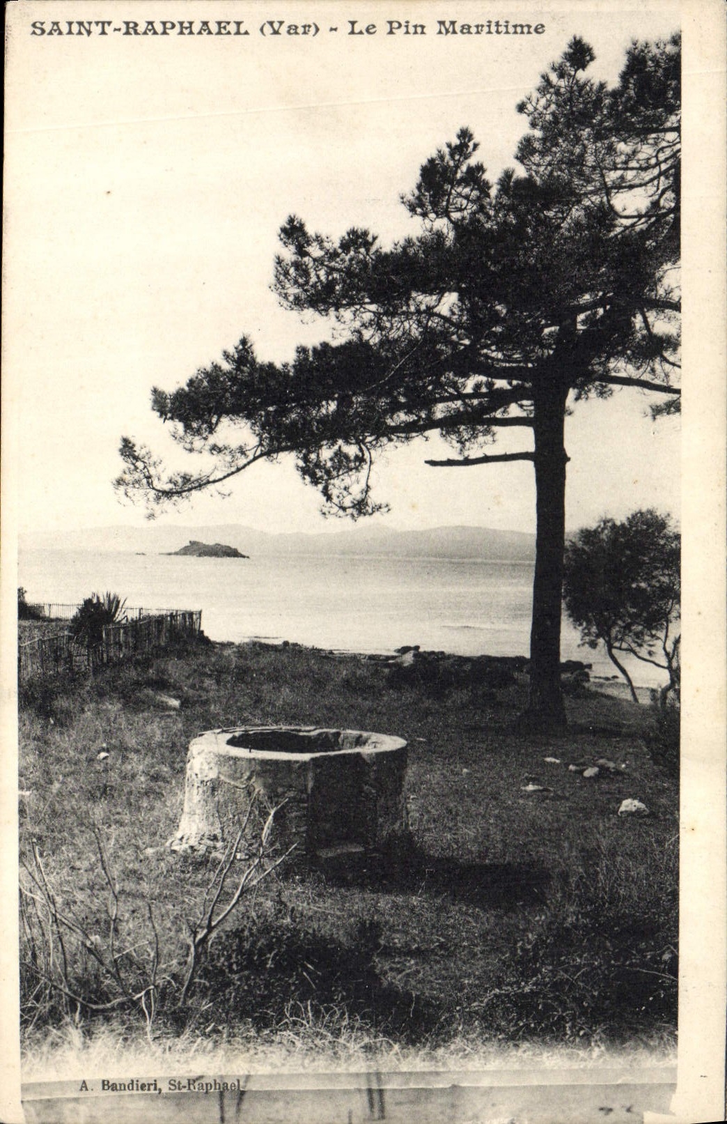 CPA Saint Raphael Le Pin Maritime