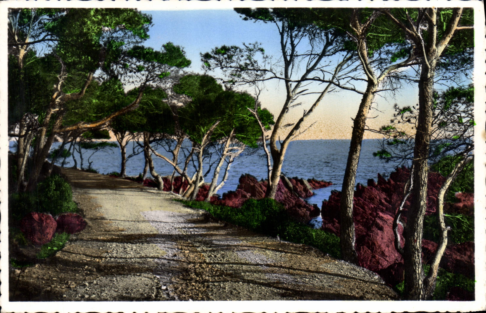 CPM Le Chemin Sous Les Pins