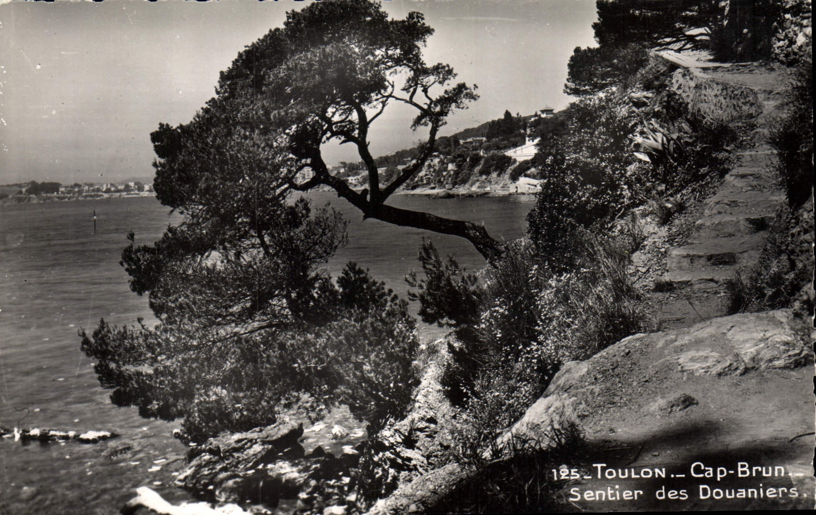 MODERN CARD Toulon Cape Brown Coastguard Path