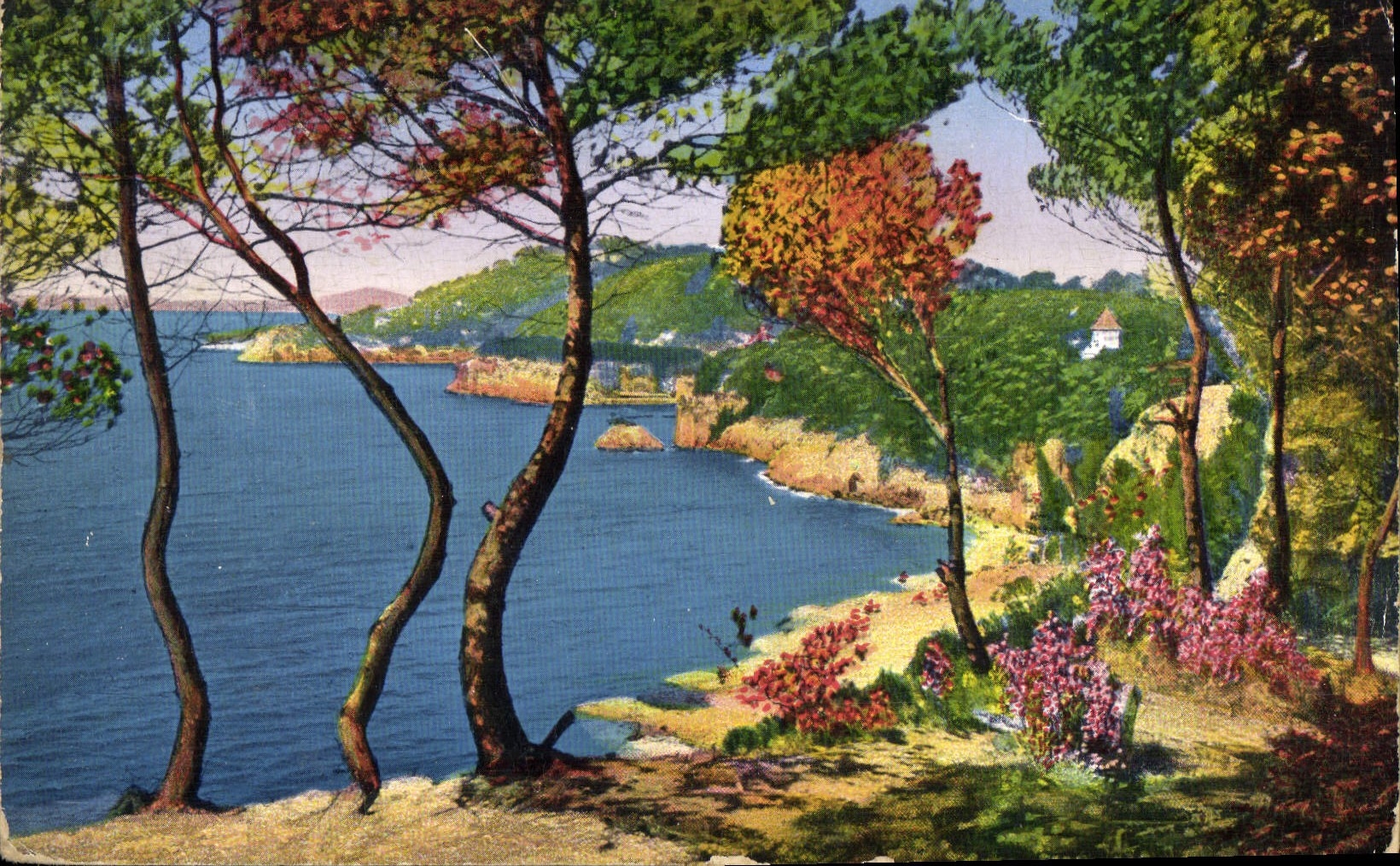 VINTAGE POSTCARD Surroundings of Toulon Cape Brown