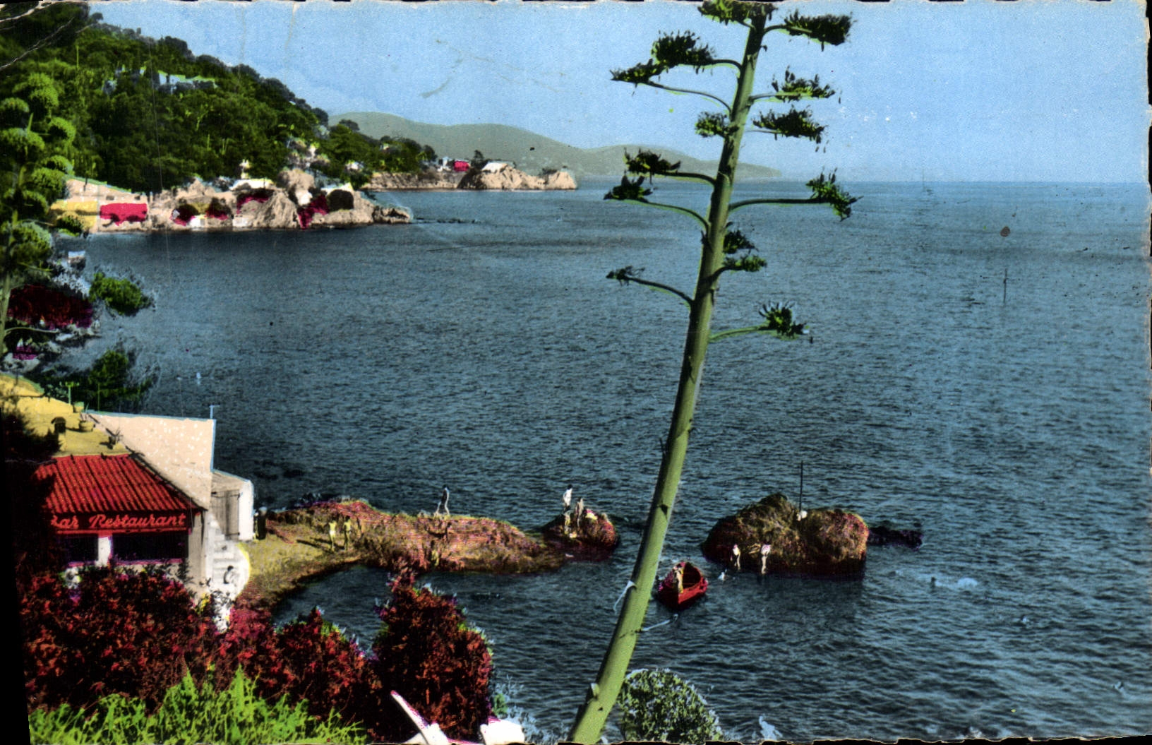 CPM Toulon Vue Sur Le Cap Brun Restaurant Bar