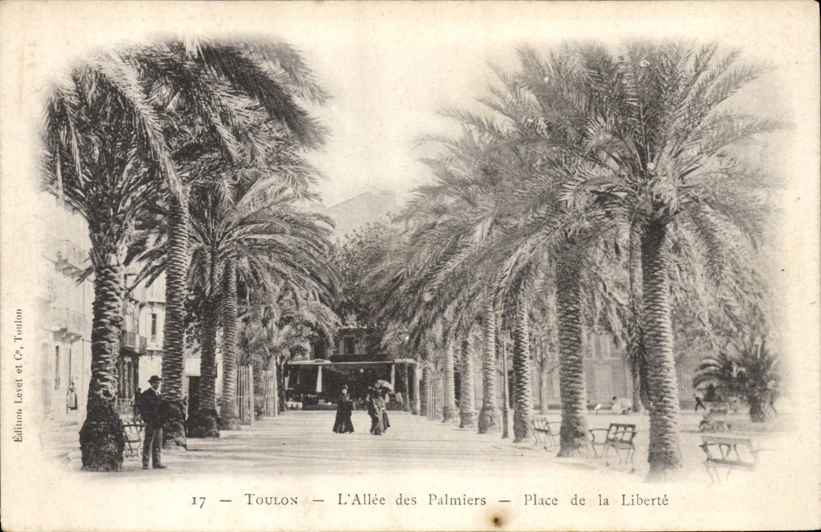 CPA Toulon L'Allee Des Palmiers Place De La Liberte