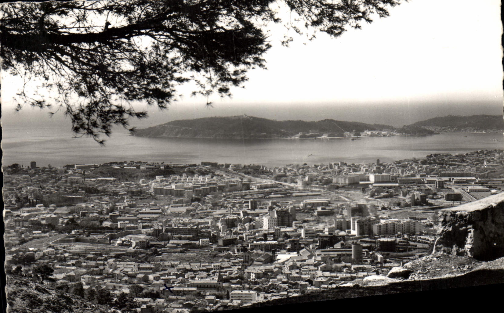 MODERN CARD Toulon Panoramic View on Al city and large roads