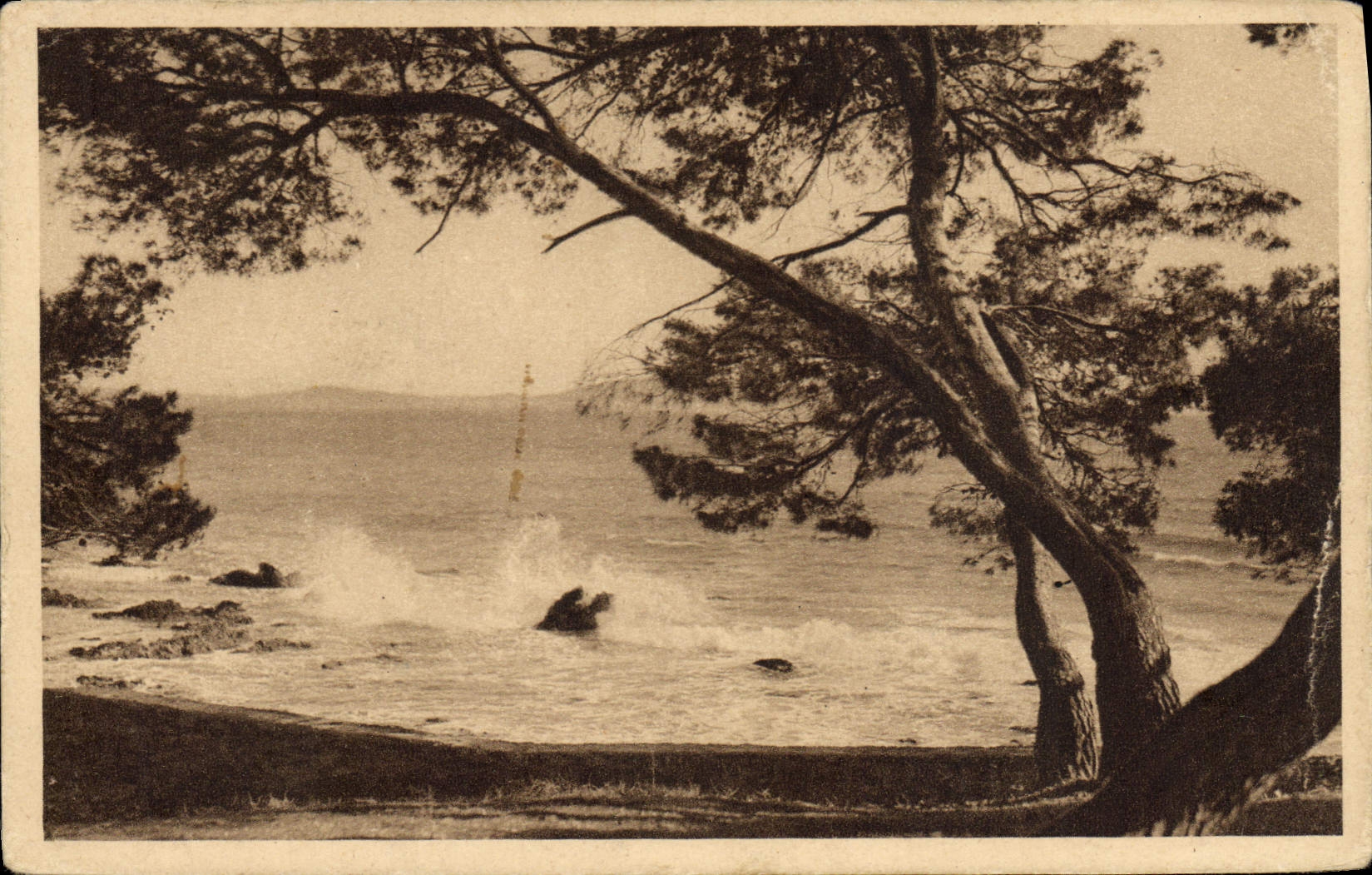 CPA Carqueiranne Les Salettes La Mer Vue De La Pinede