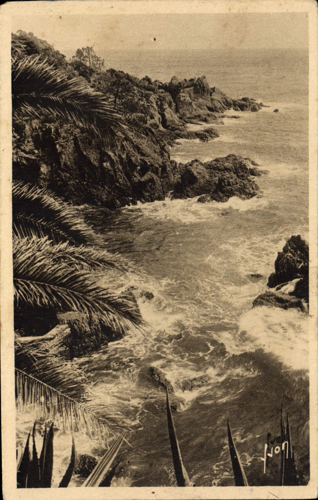 VINTAGE POSTCARD In Trayas Rocks