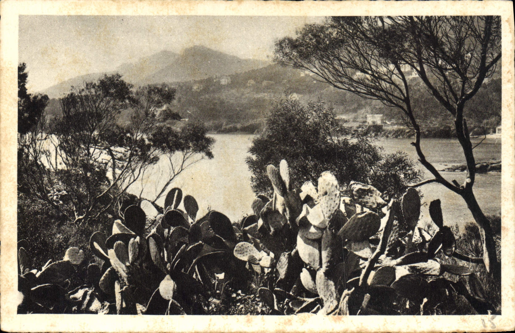 POSTAL de la VENDIMIA la cornisa del oro hacia Trayas