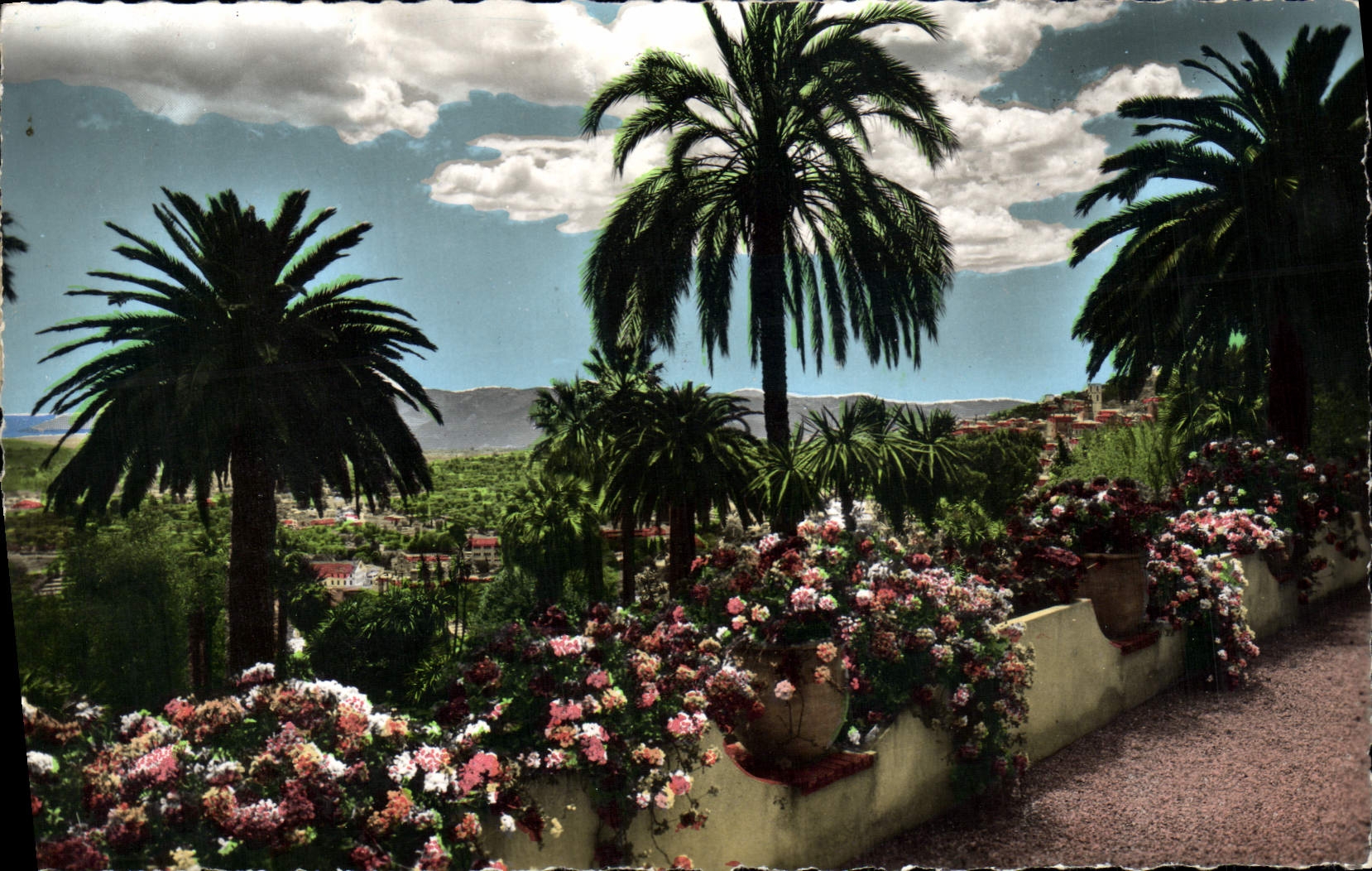 CPM Grasse So Vegetation Exotique