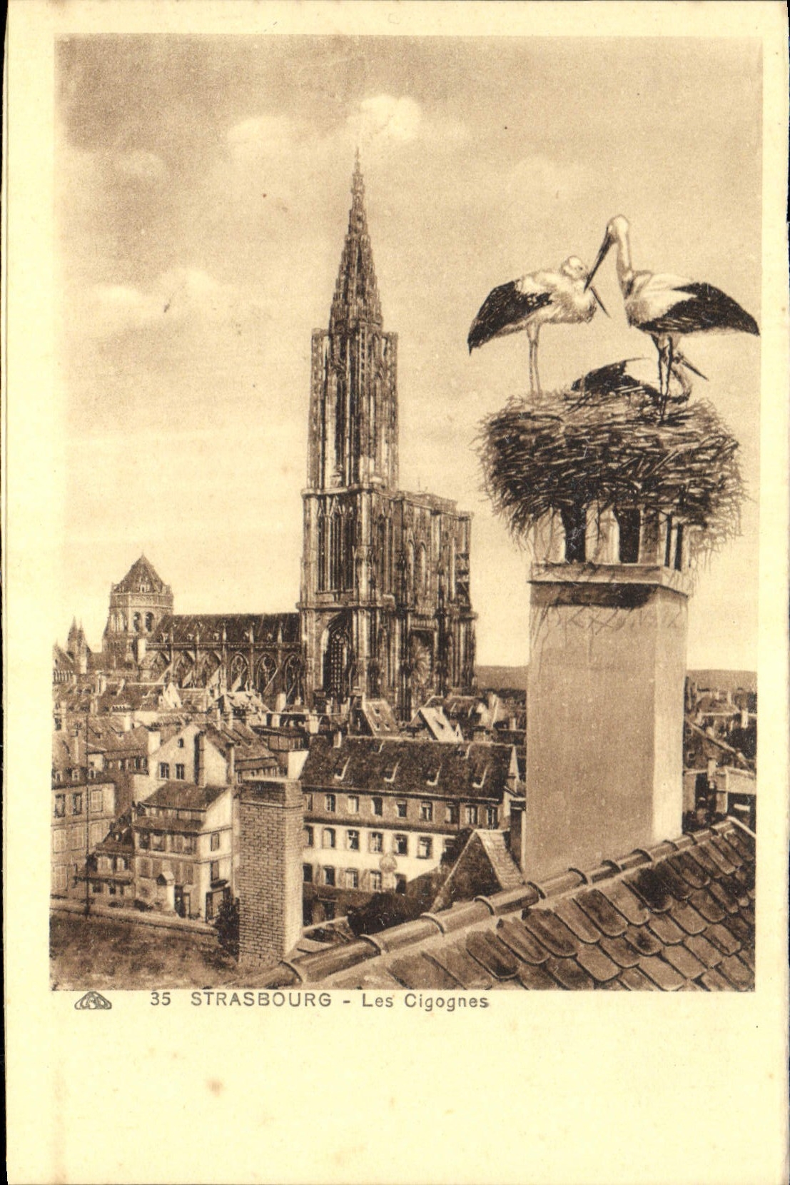 Cigüeñas de Estrasburgo de la POSTAL de la VENDIMIA