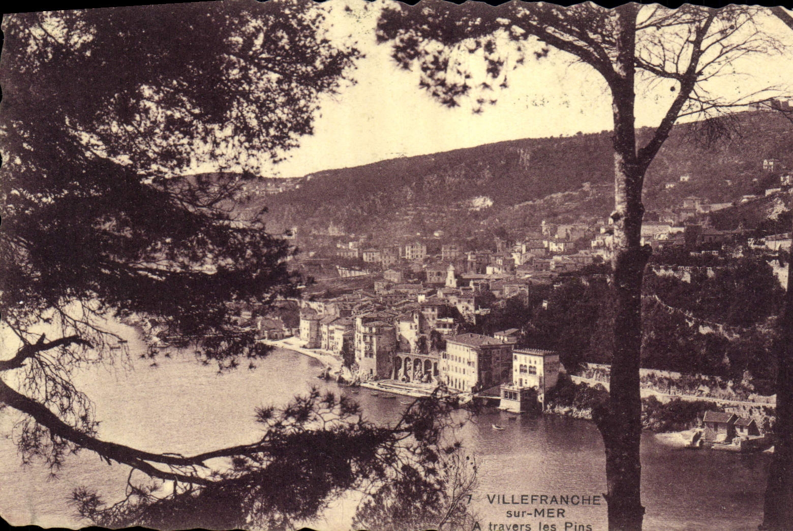 VINTAGE POSTCARD Villefranche On Sea Through the pines