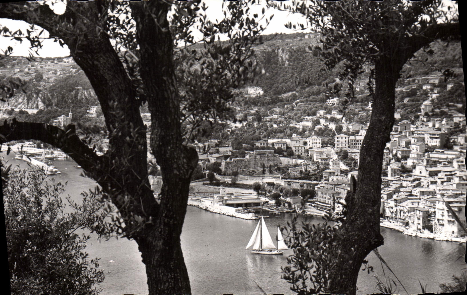 CPM Villefranche Sur Mer Vue Prise entre les Oliviers