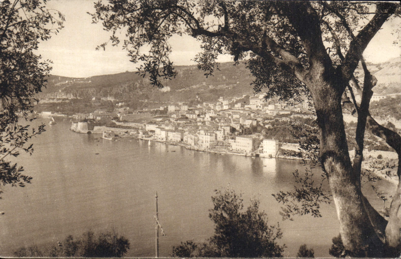 CPA Villefranche vue a travers les oliviers