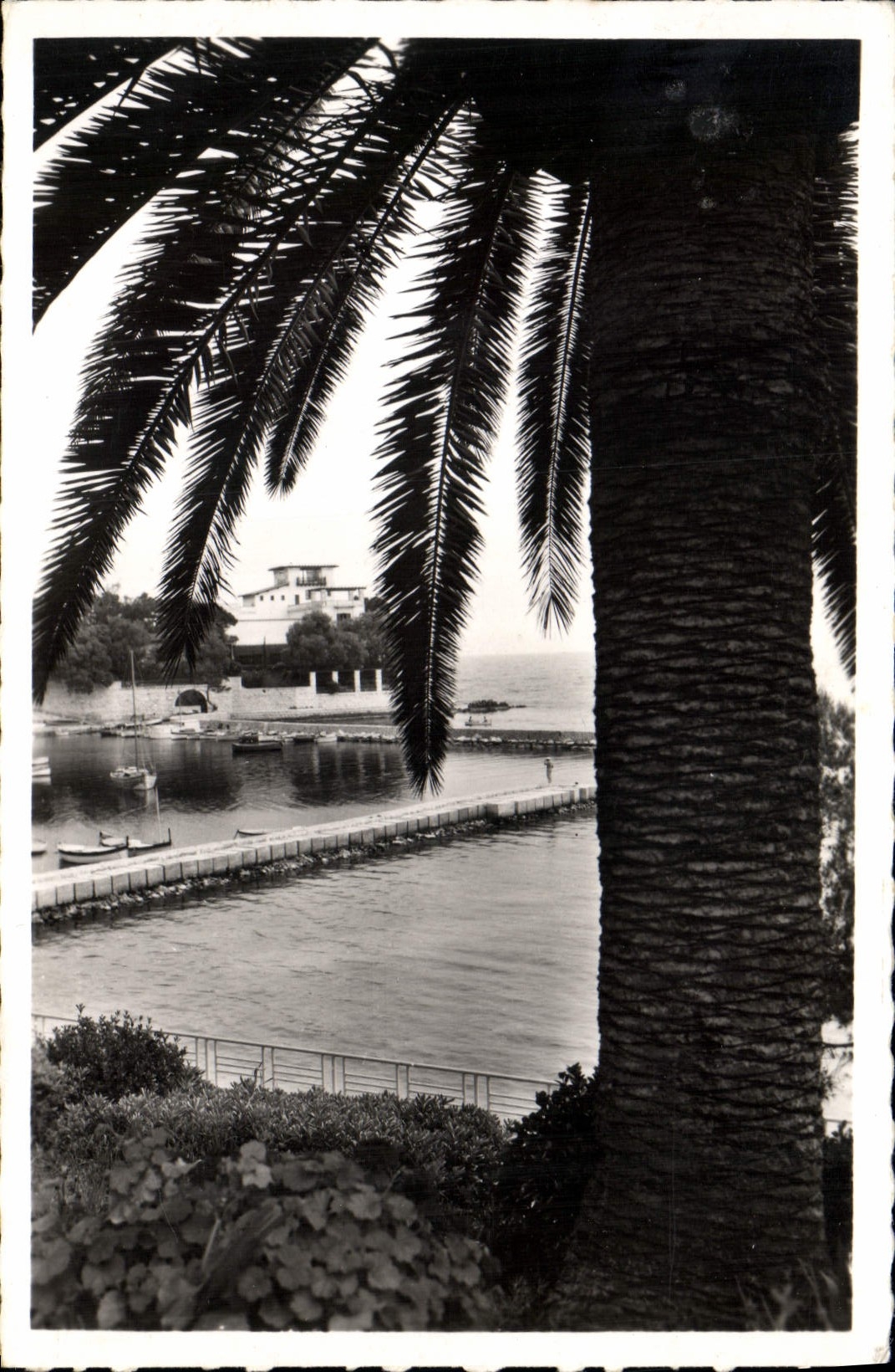 MODERN CARD Beaulieu the Bay of the Ants