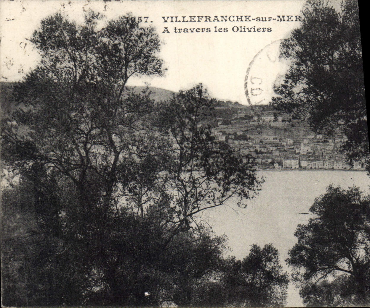 CPA Villefranche Sur Mer A Travers les Oliviers