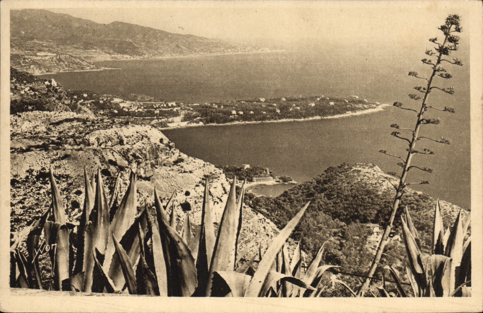 VINTAGE POSTCARD the Cape Martin seen of the round not of Turbie