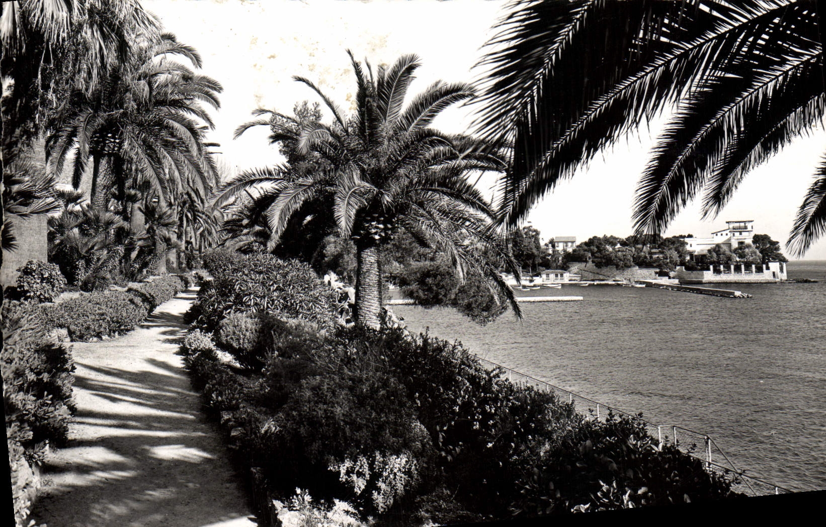 CPM Beaulieu Sur Mer Jardin Exotique Au Fond la Villa Kerylos 