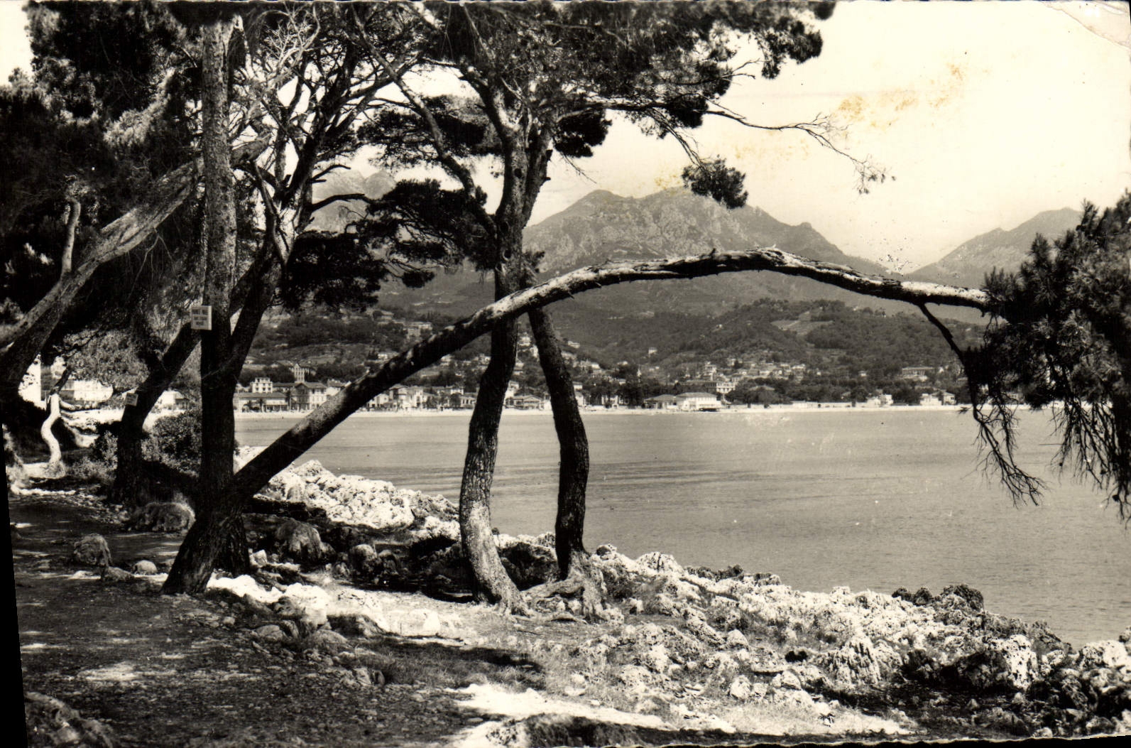 CPM Pinede et rochers du Cap Martin