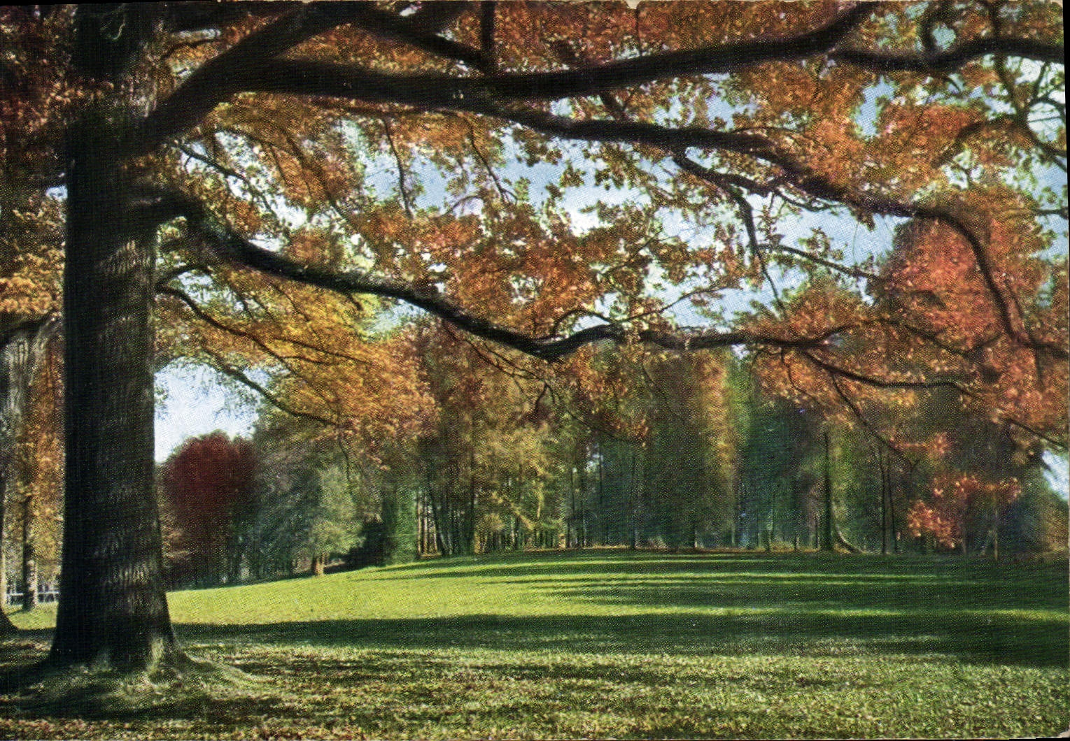 VINTAGE POSTCARD Drill