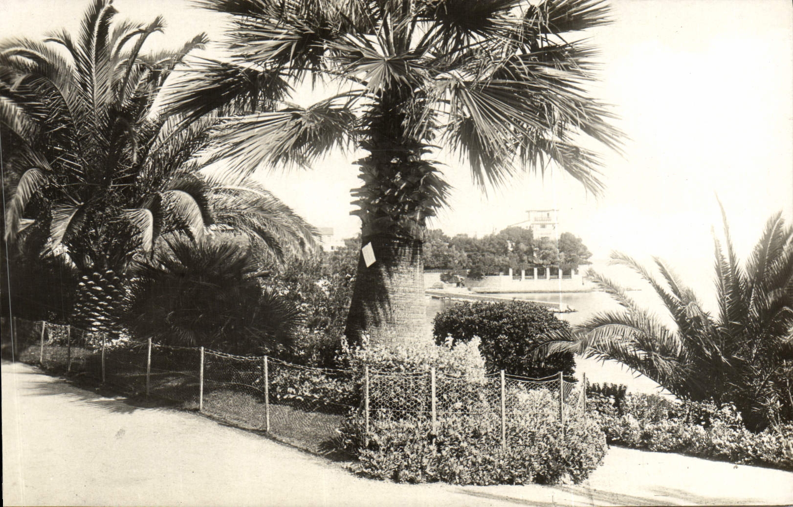 CPA Beaulieu Sur Mer Le Jardin Public