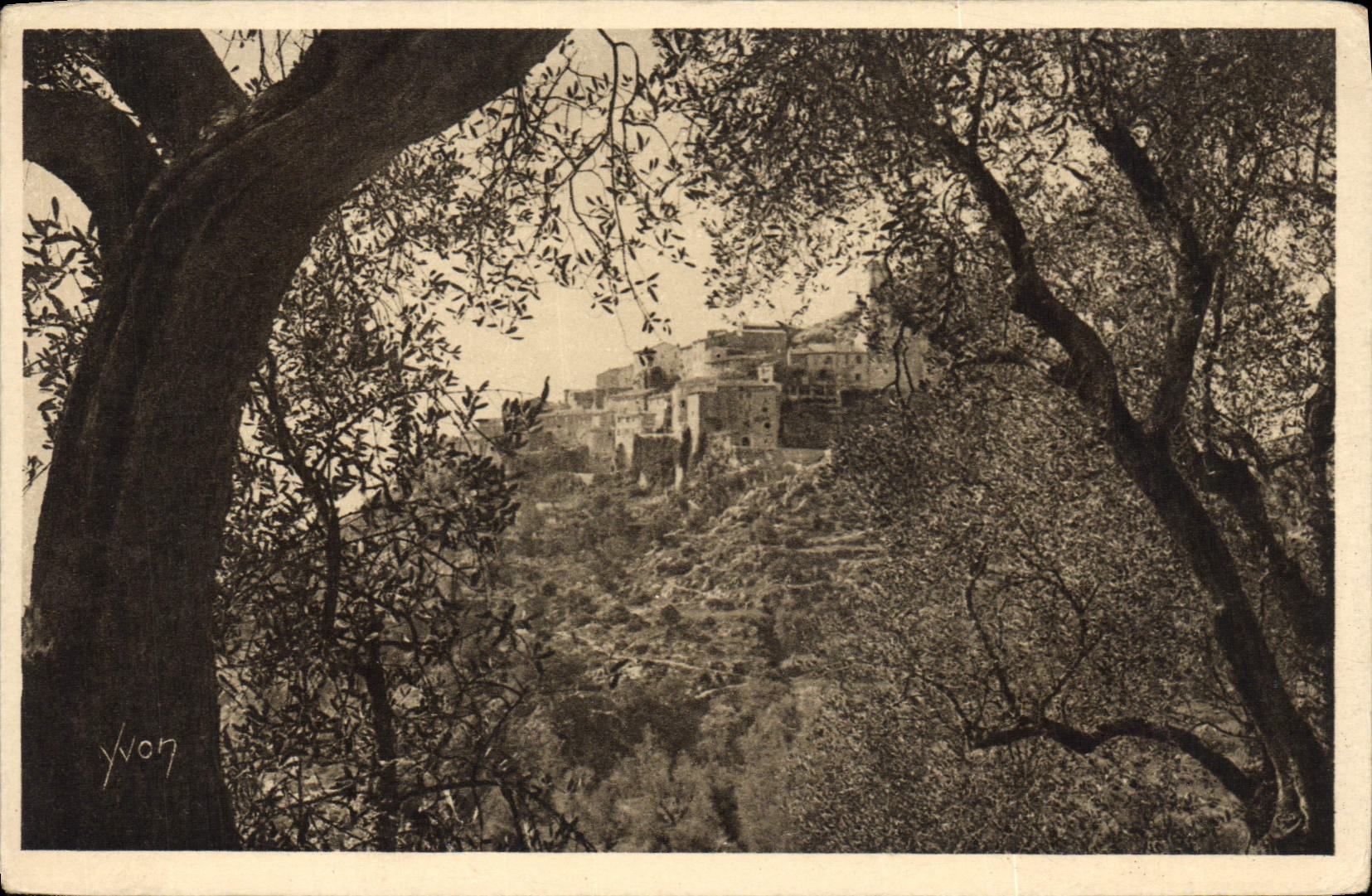 POSTAL Eze de la VENDIMIA la aldea vista a través de los Aceituna-árboles