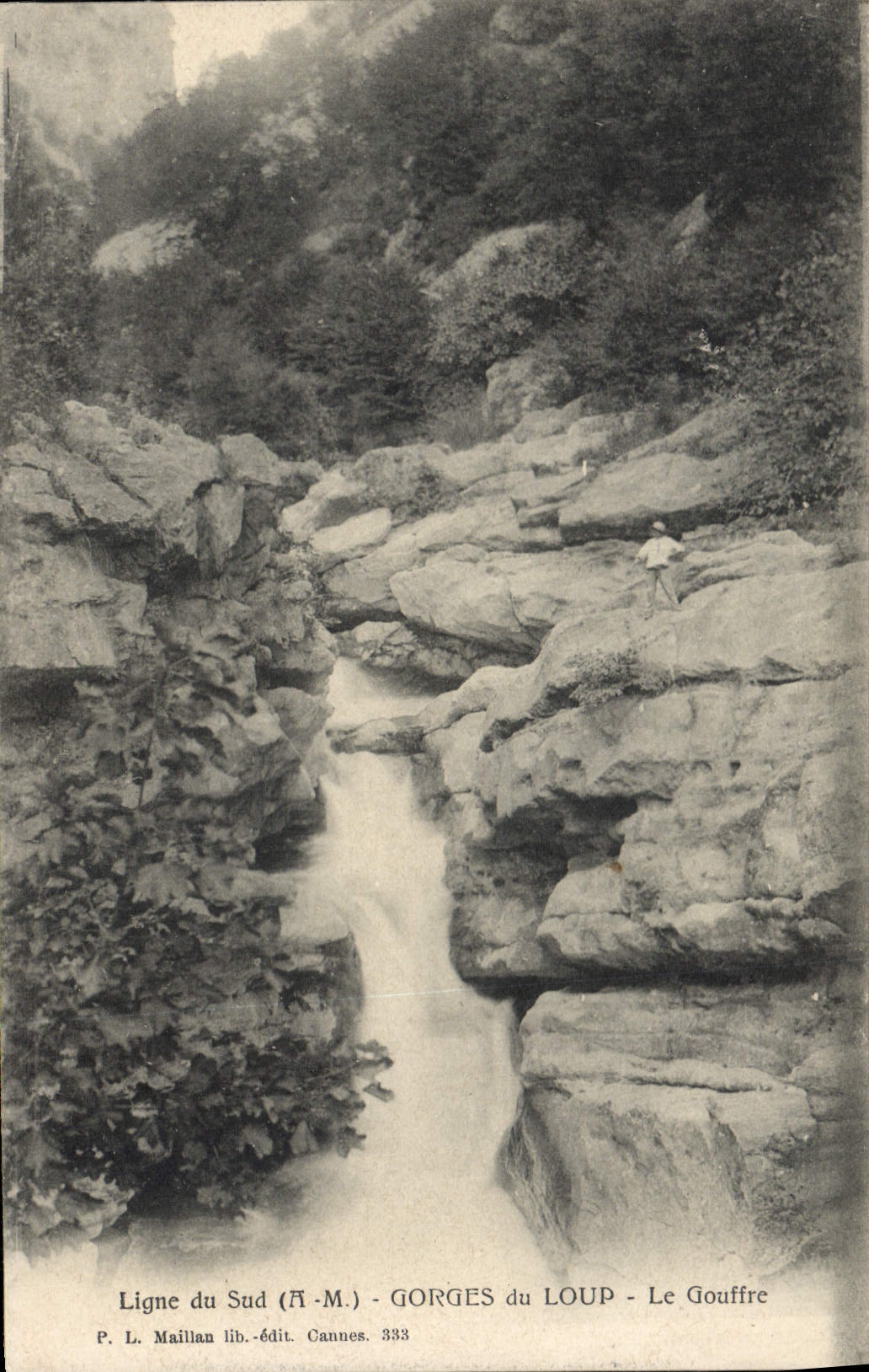 VINTAGE POSTCARD Line Of the South Falls Of the Wolf the Pit