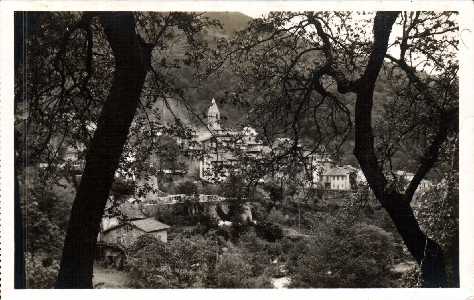 VINTAGE POSTCARD Switzerland Nicoise St Martin Vesubie