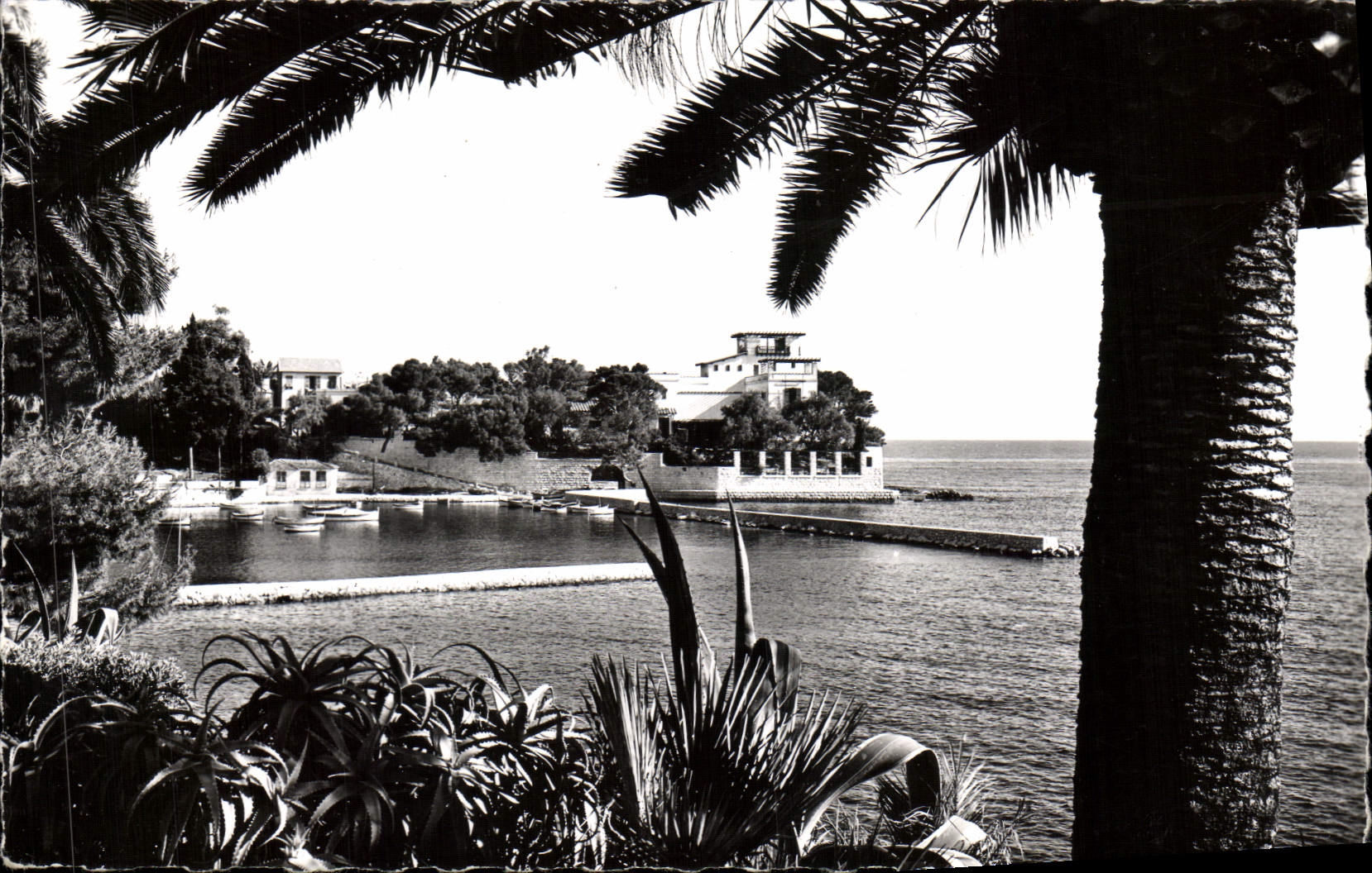 MODERN CARD Beaulieu the Port Of Formica And the Kerylos Villa