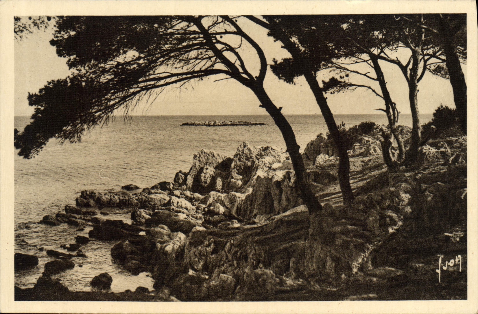 VINTAGE POSTCARD Antibes the Pine forest
