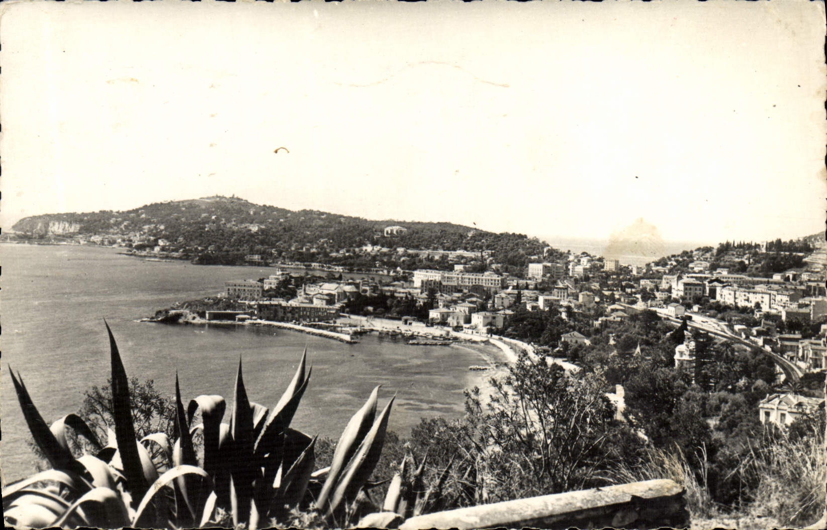CPM Beaulieu Sur Mer Le Port Et Le Cap Ferrat