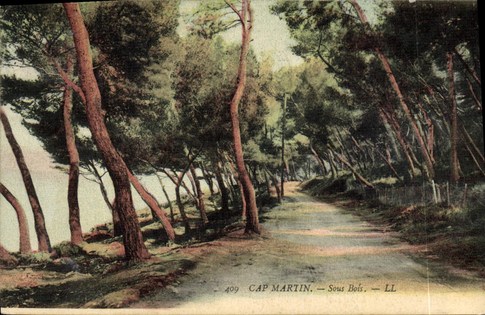 CPA Cap Martin Sous Bois