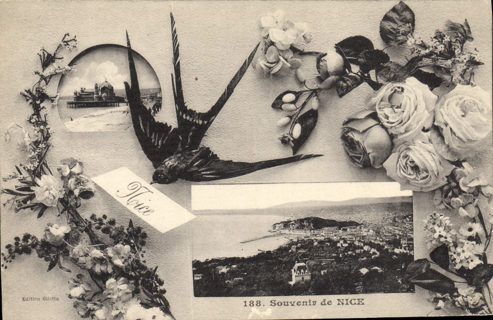 VINTAGE POSTCARD Nice Souvenir Swallow