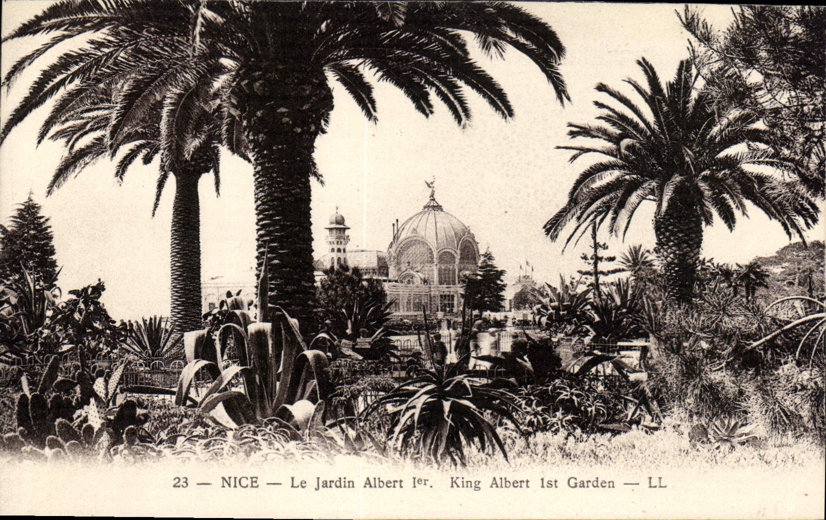 CPA Nice Le Jardin Albert 1er