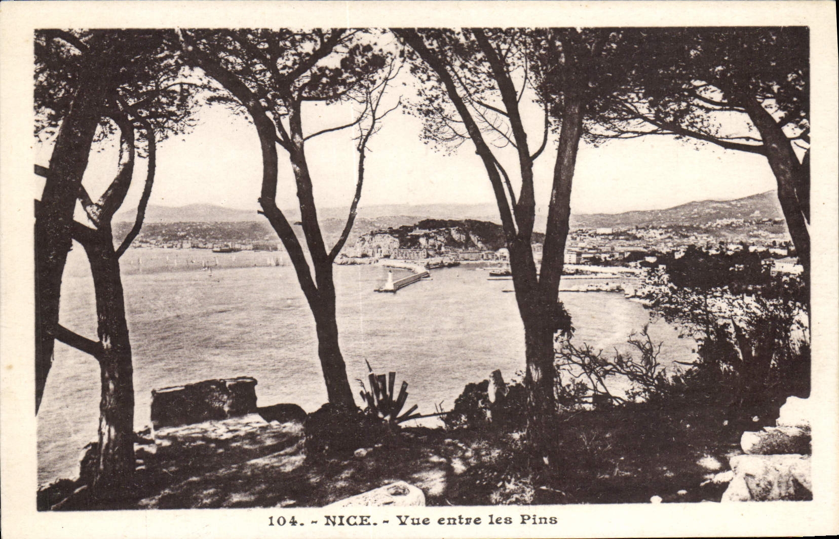 Niza de la POSTAL de la VENDIMIA vista entre los pinos