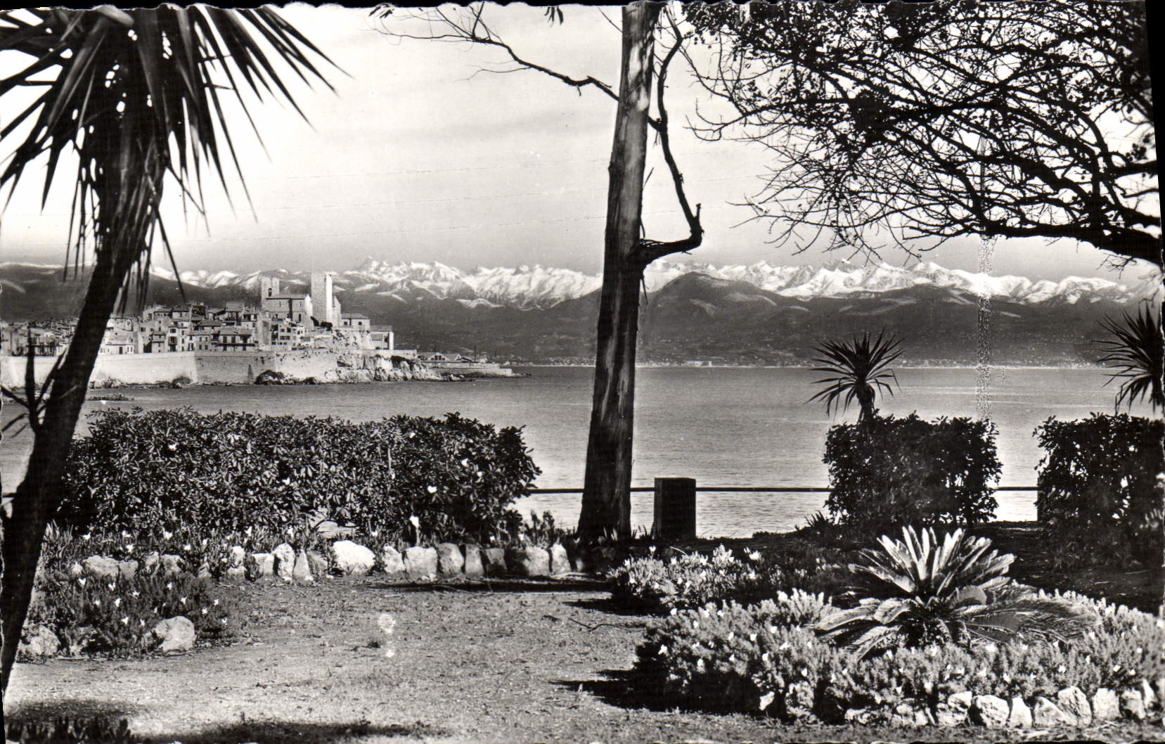 MODERN CARD Antibes the Old city In Foad the snow-covered Alps