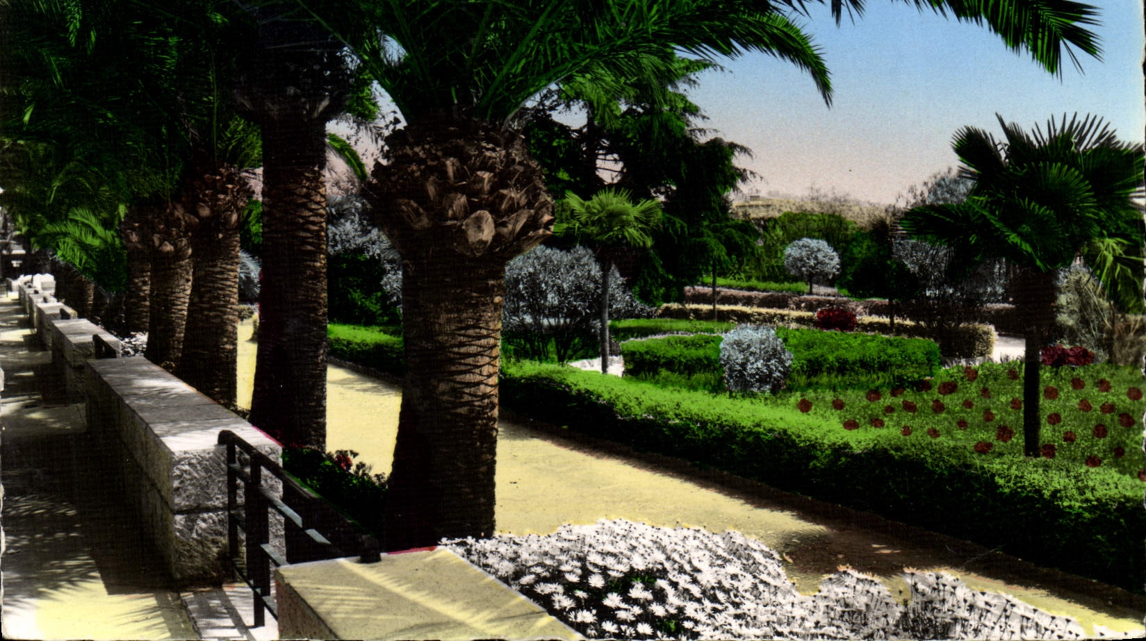 MODERN CARD Villefranche On Sea the Walk the Public garden and exotic vegetation