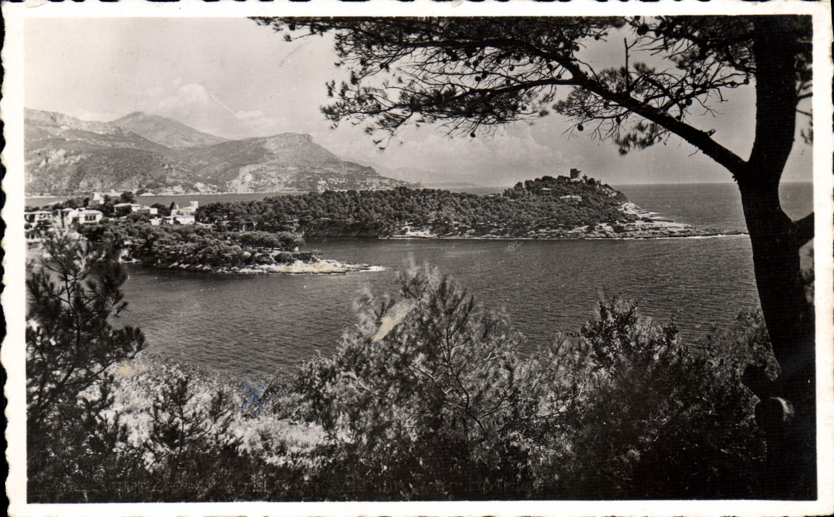 CPM Saint Jean Cap Ferrat Vue Sur Saint Hospice Cap D'Ail et la Tete de Chien