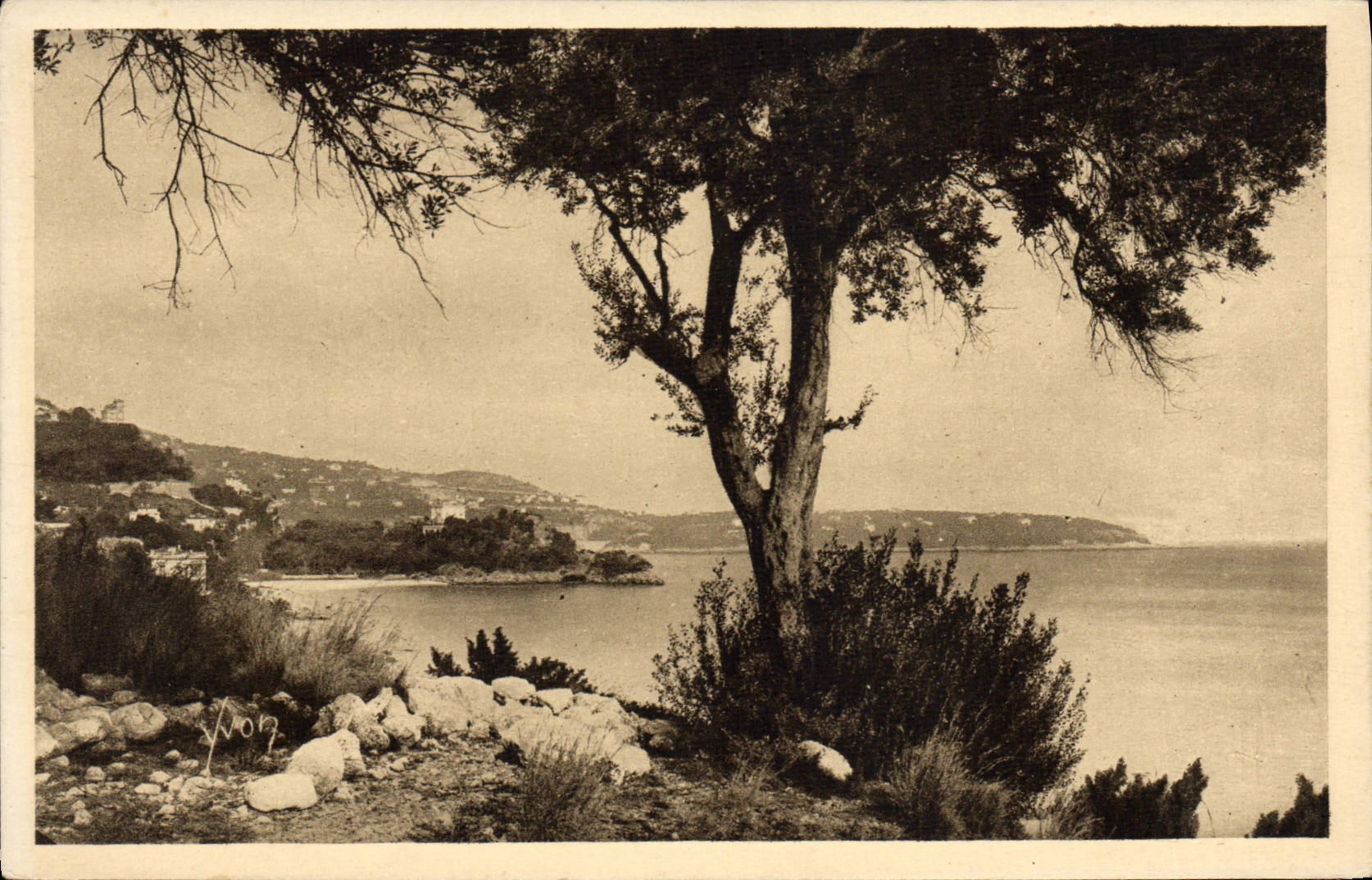 VINTAGE POSTCARD Monaco the Littoral Towards the Cape Martin