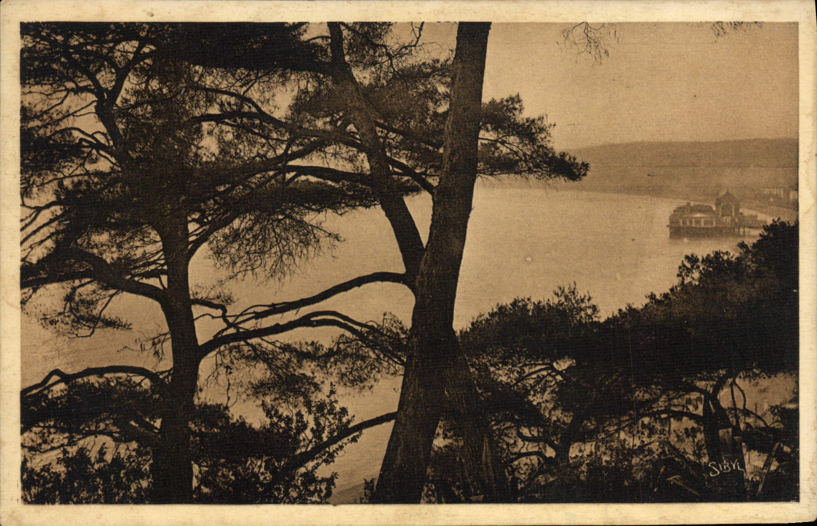 POSTAL de la VENDIMIA Niza la bahía de los ángeles a través de los pinos del castillo