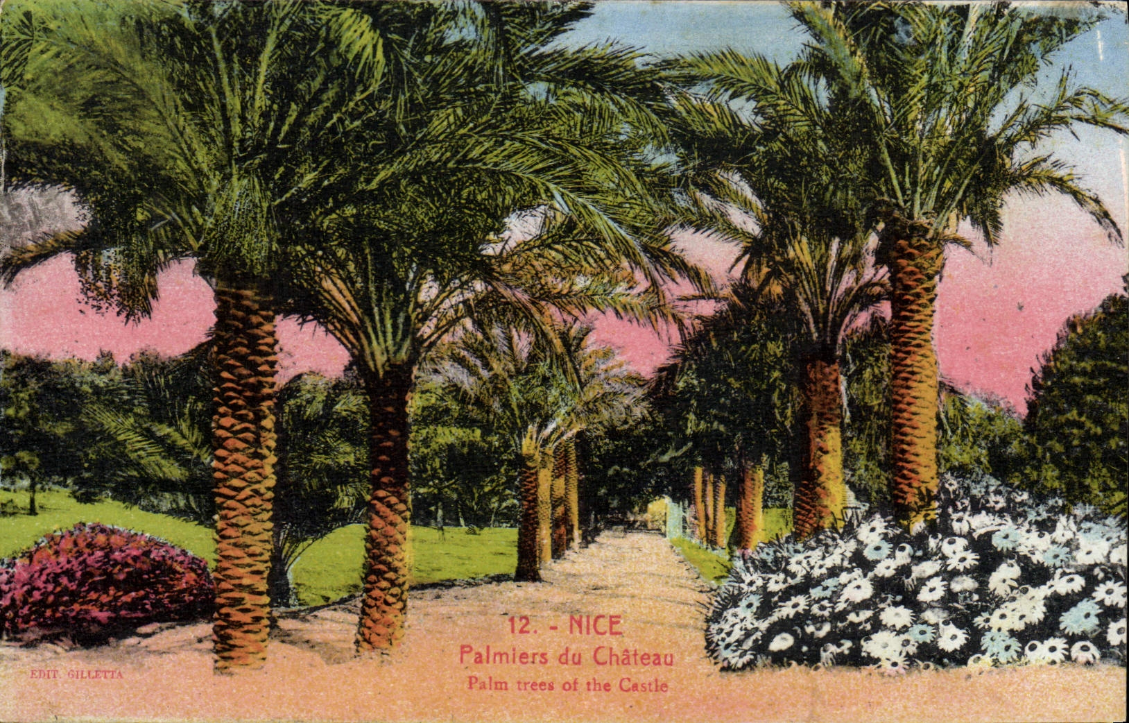 CPA Nice Palmiers Du Chateau
