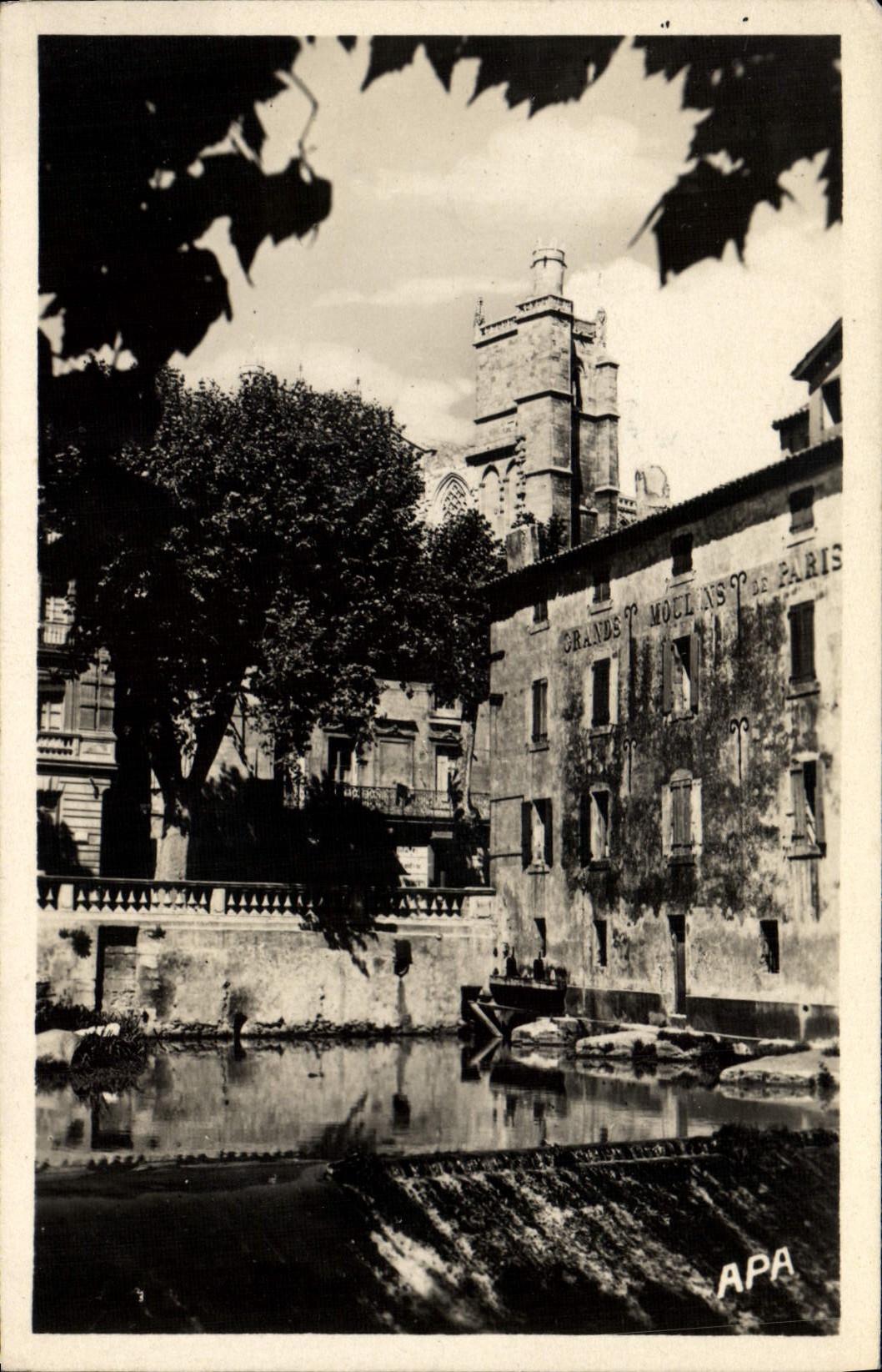 POSTAL Narbonne de la VENDIMIA Moulins de París y de la catedral santas apenas