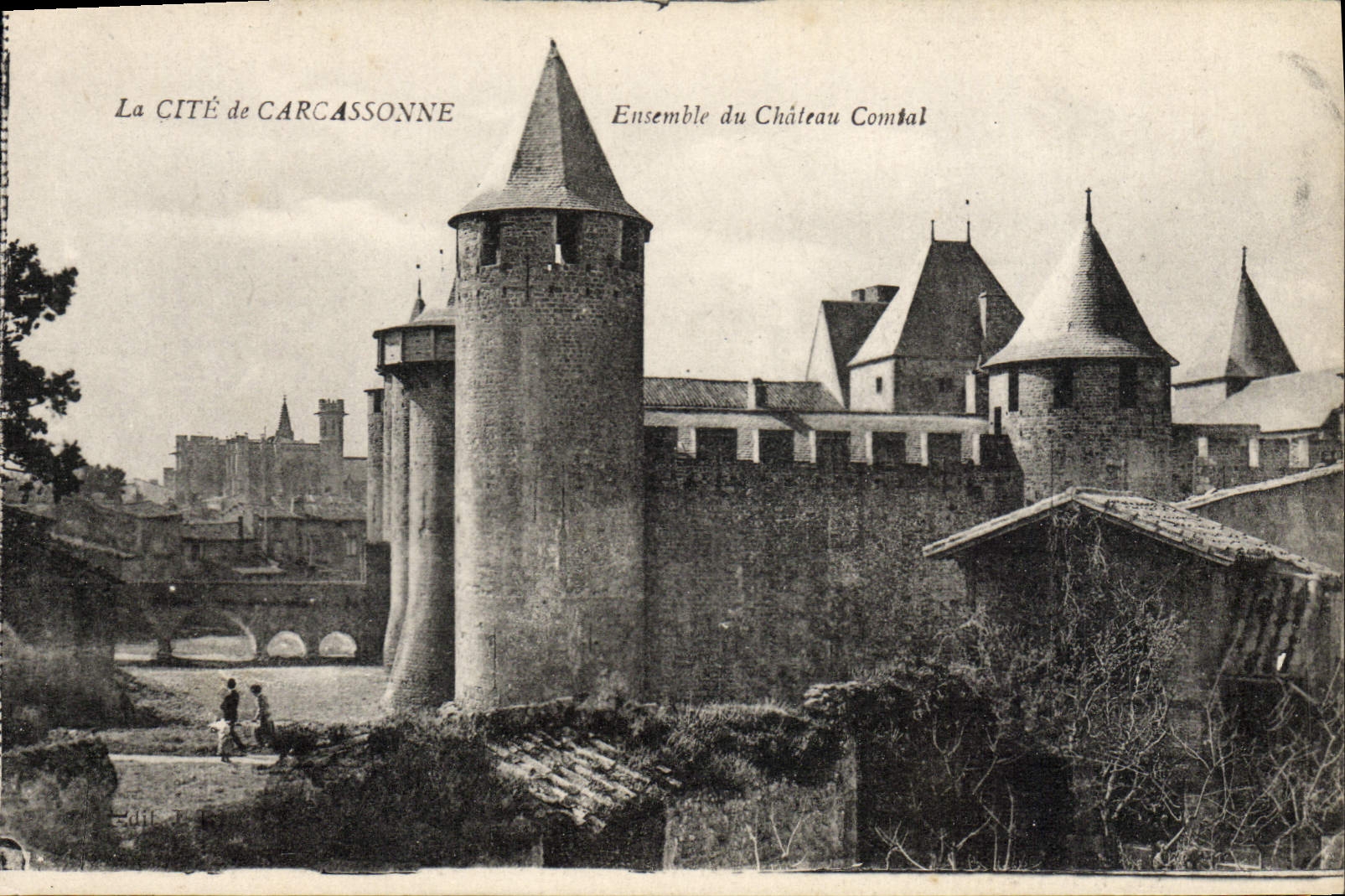 CPA Carcassonne Ensemble Du Chateau Comtal