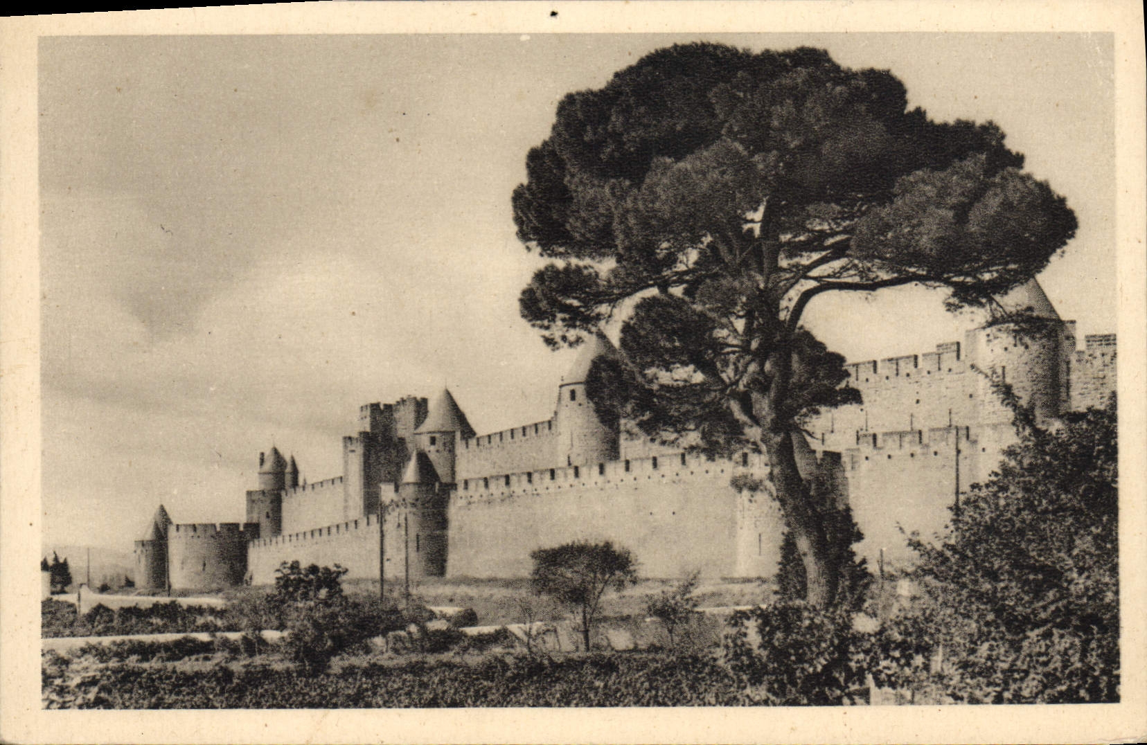 CPA Cite De Carcassonne Front Sud