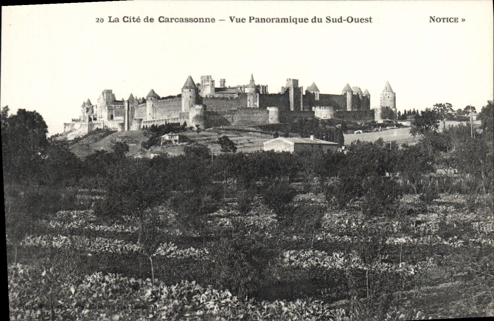 CPA Cite De Carcassonne Vue Panoramique Du Sud Ouest