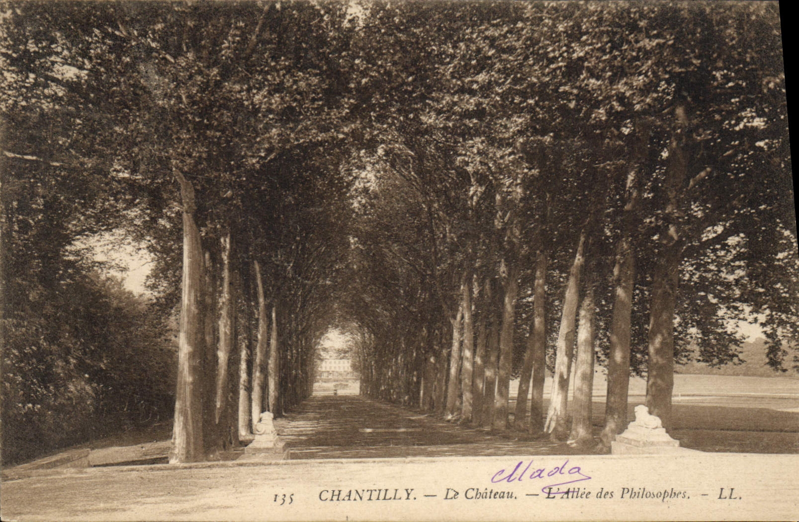 CPA Chateau De Chantilly L'allee des philosophes