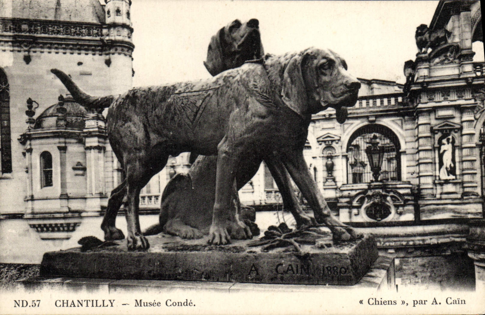 CPA Chateau De Chantilly Musee Conde Chiens