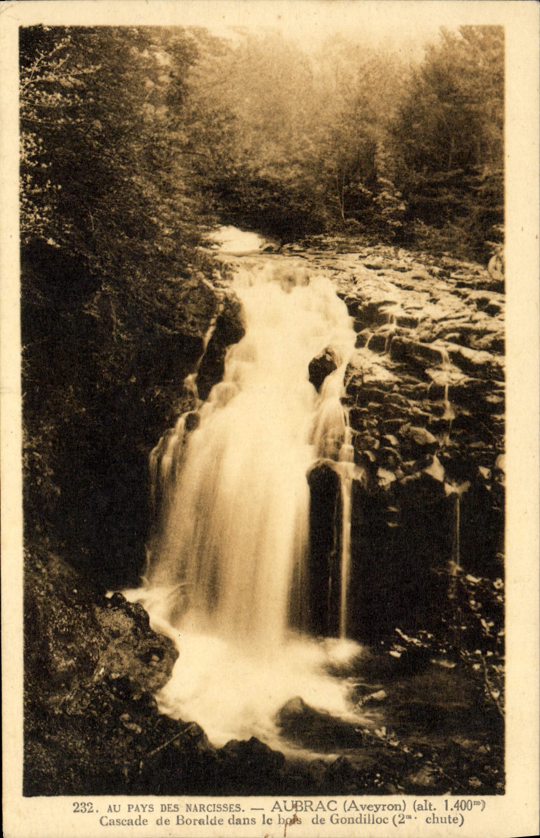 VINTAGE POSTCARD With the Country Of Narcisses Aubrac Cascades of Boralde in the wood of Gondilloc