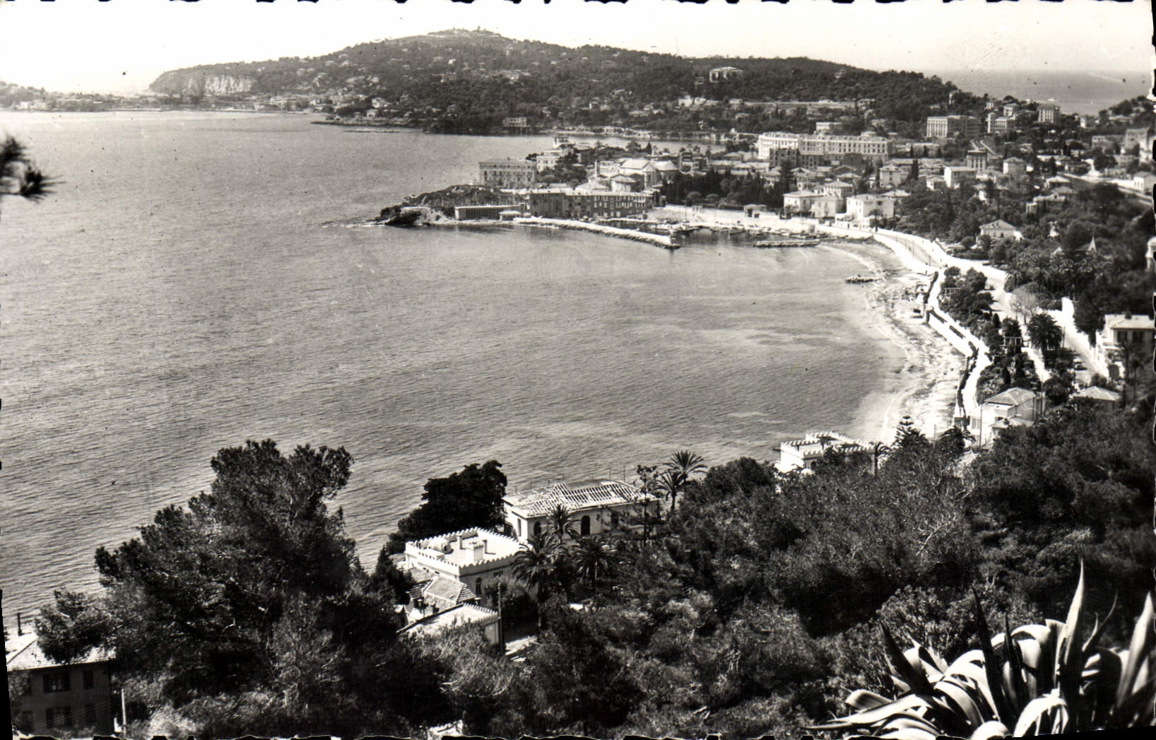 CPM Beaulieu Sur Mer Le Port Le Cap Ferrat