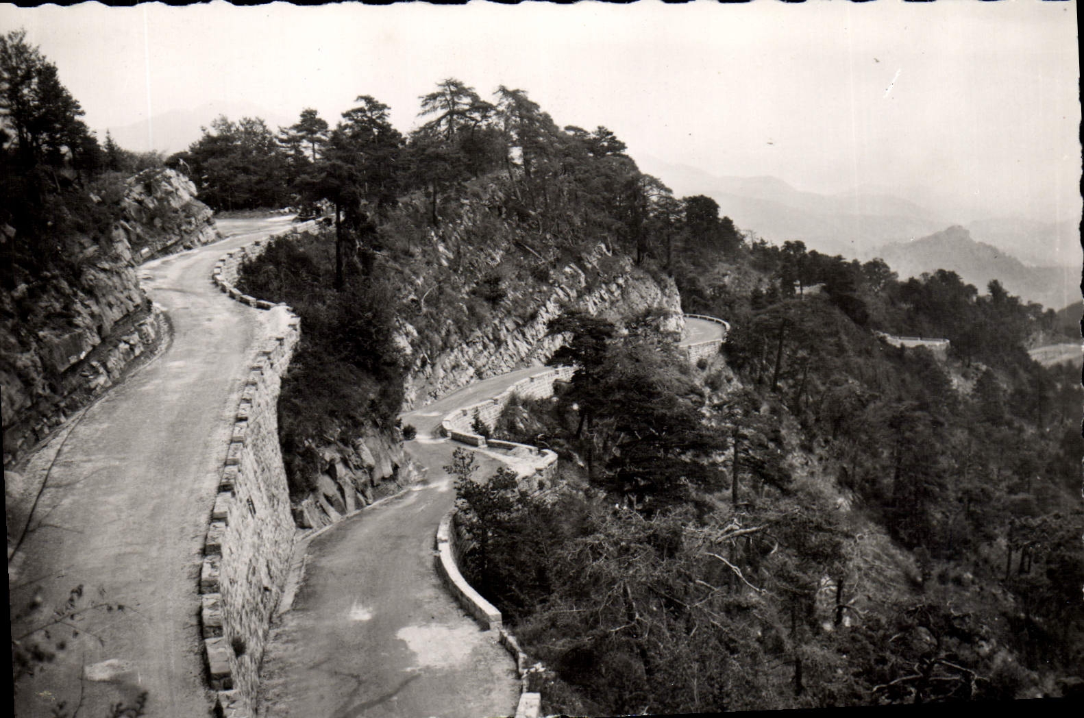 MODERN CARD Peira Undermined the Laces