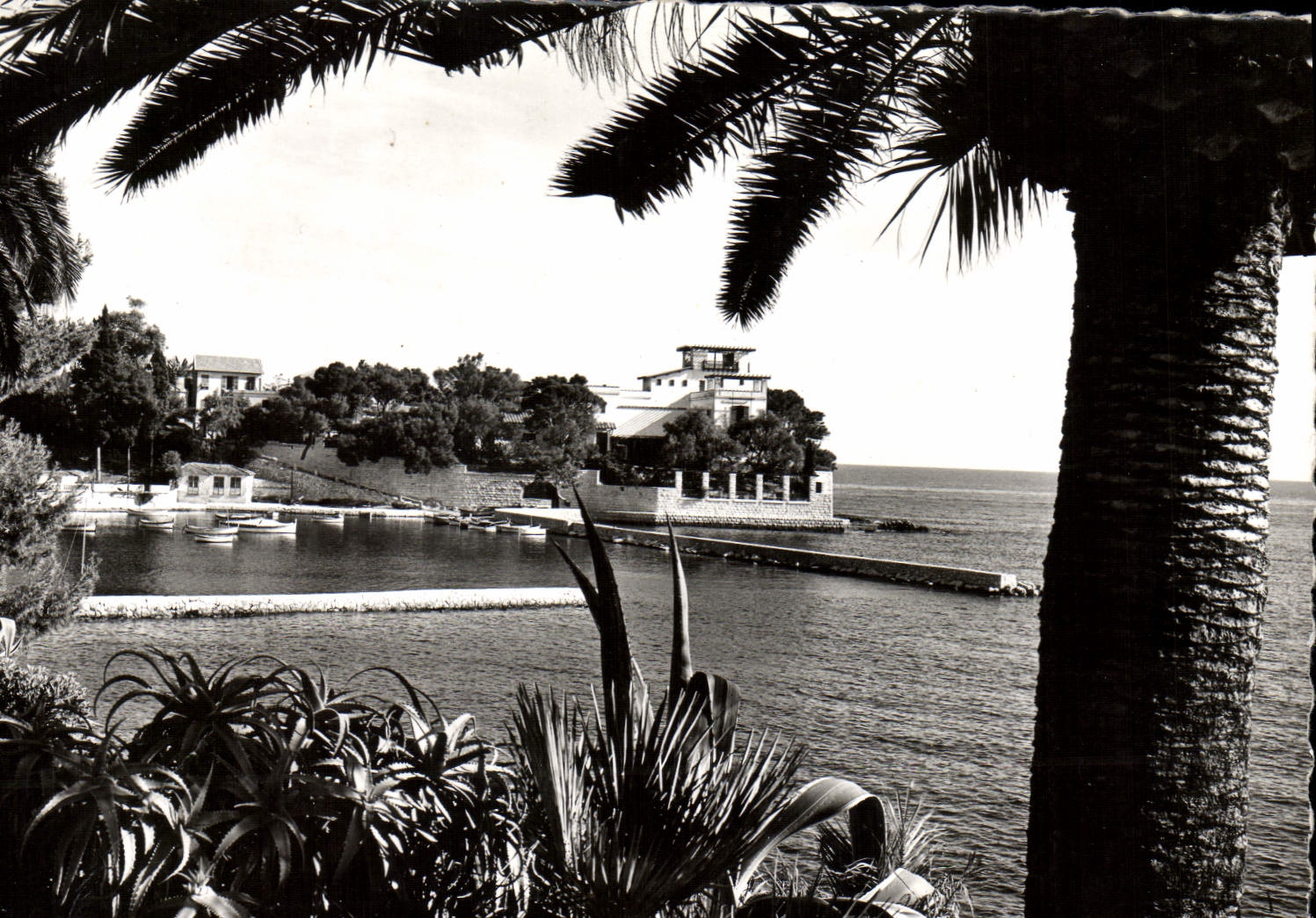 CPM Beaulieu Le Port De La Formica Et La Villa Kerylos