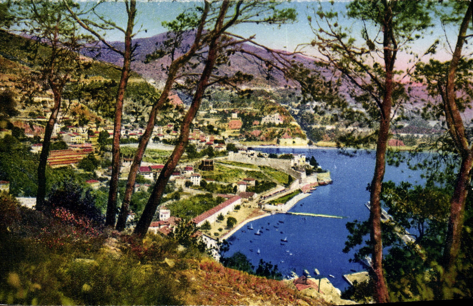CPA Villefranche Sur Mer Vue Prise Entre Les Pins Et la Darse